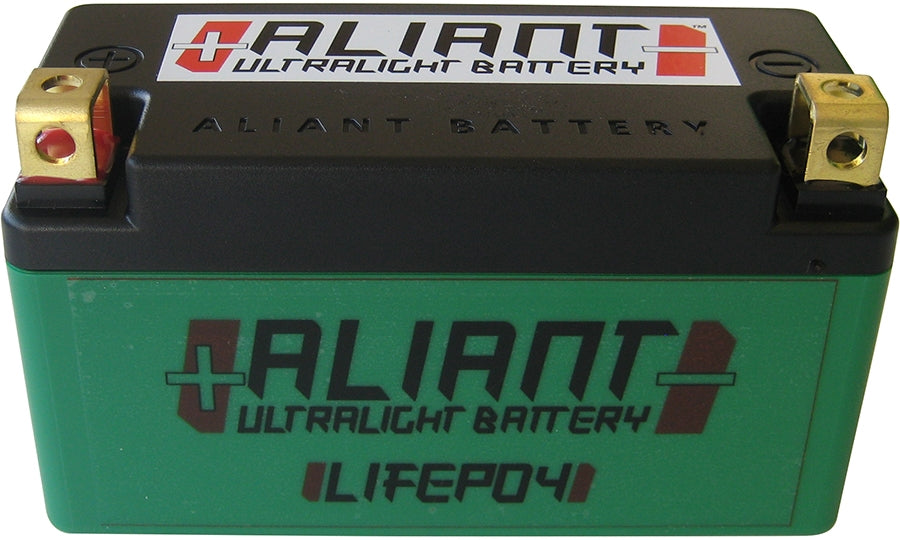 ALIANT Lithium-Ionen-Akku YLP09X