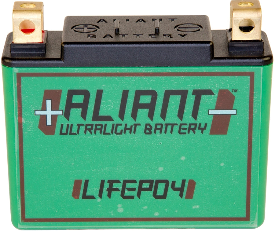 ALIANT Lithium-Ionen-Akku YLP05