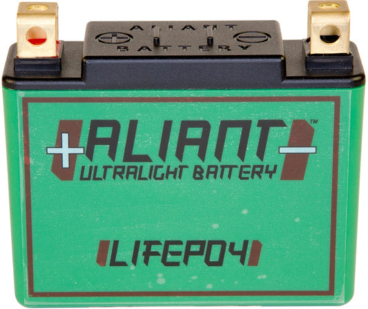ALIANT Lithium-Ionen-Akku YLP05B