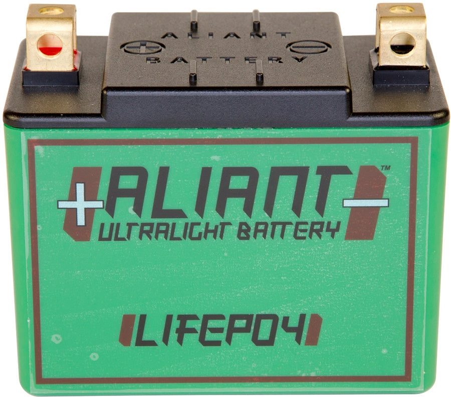 ALIANT Lithium-Ionen-Akku YLP10